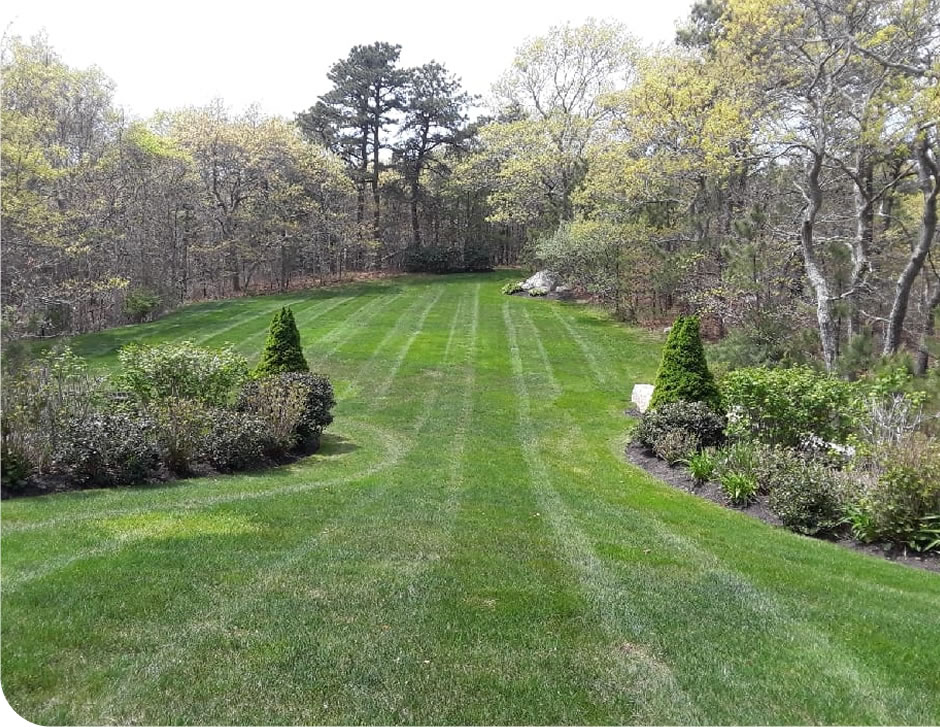 Cape Cod Landscape Lighting