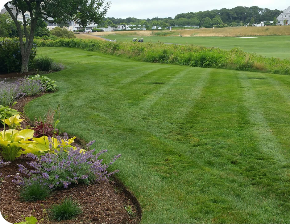 Cape Cod Lawn fertilization