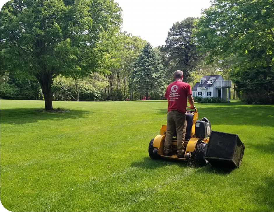 Cape Cod Landscape Design