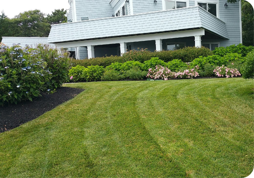 Cape Cod Landscaper