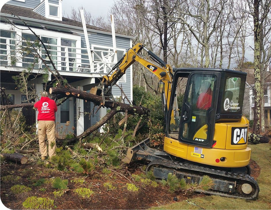 Cape Cod Landscape Design