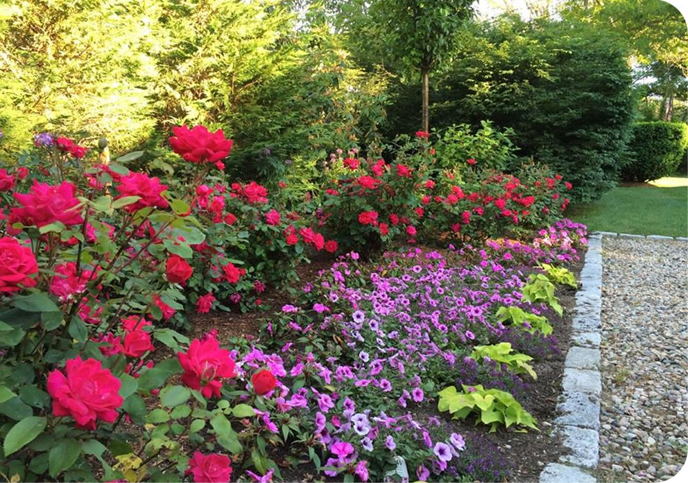 Cape Cod Landscape Services