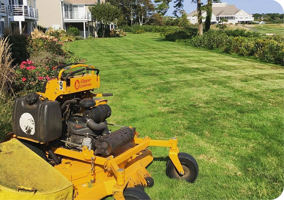 Cape Cod Landscape Services