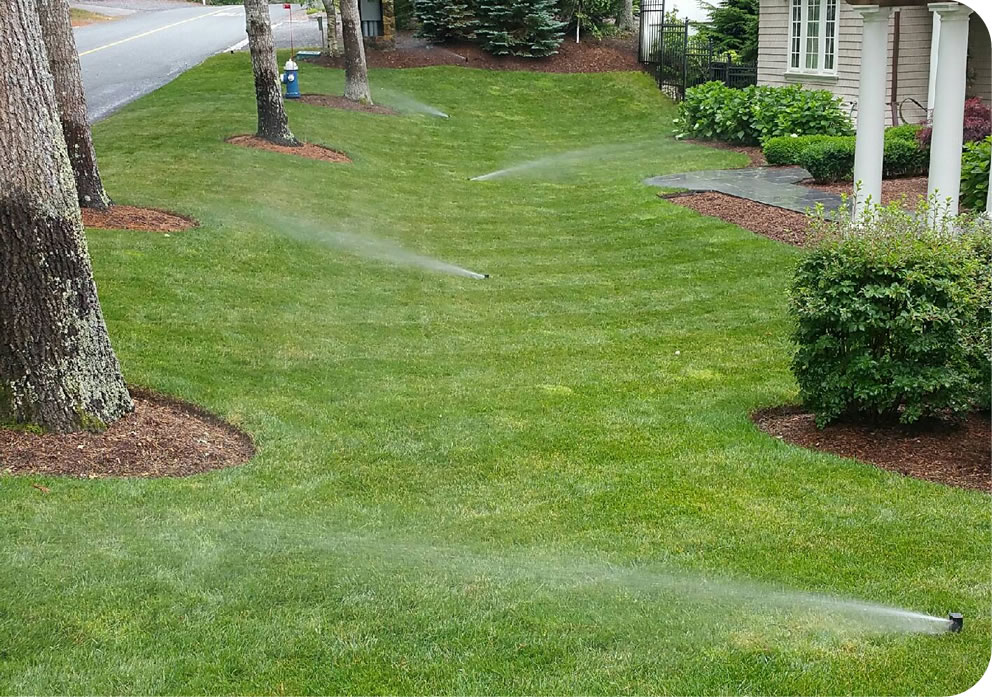 Cape Cod Irrigation Installation